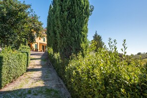 Un chemin menant à un bâtiment entouré de verdure.
