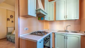 A compact kitchen with a gas stove, oven, and a sink.