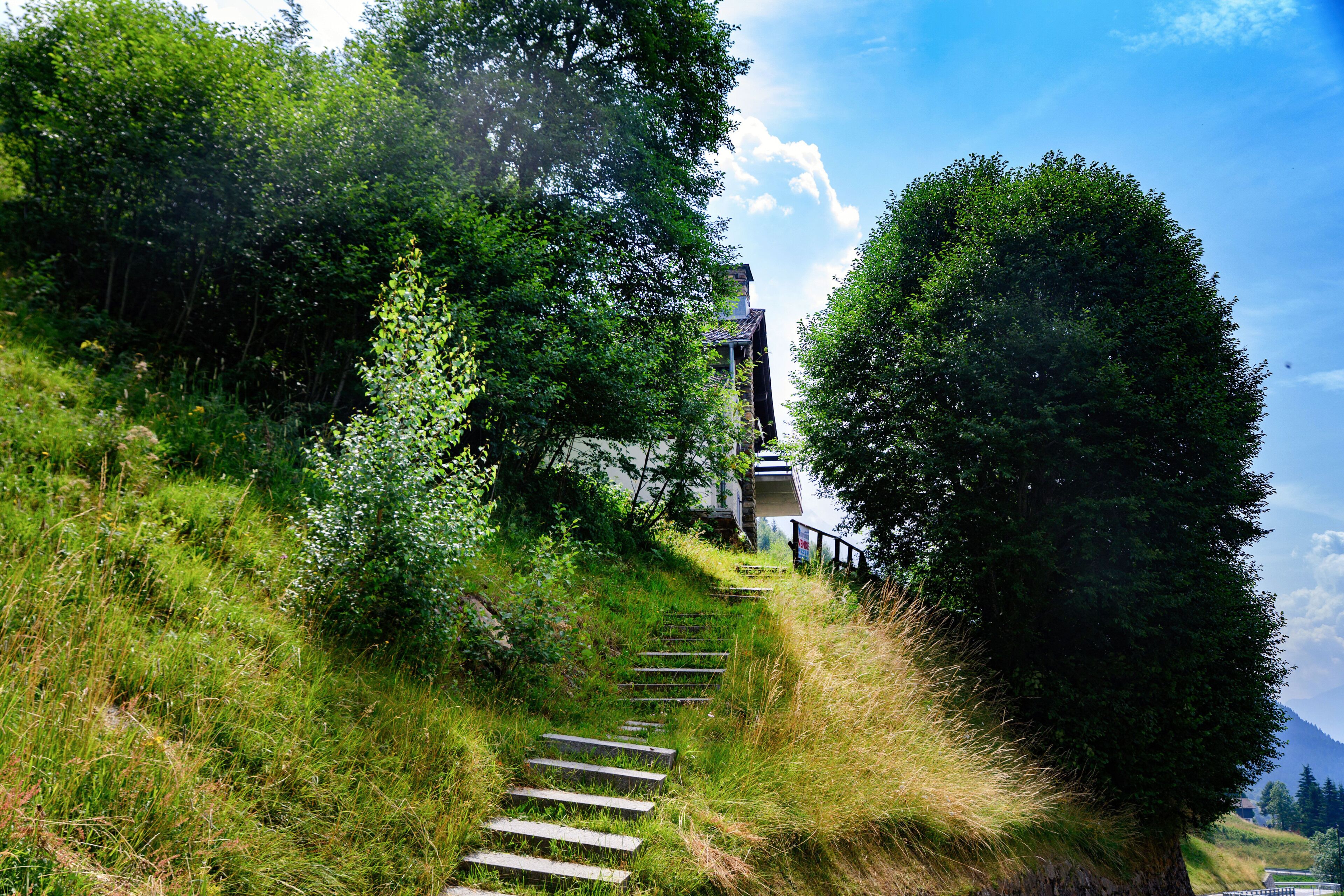 Un escalier qui monte une colline et mène à un bâtiment situé au sommet.