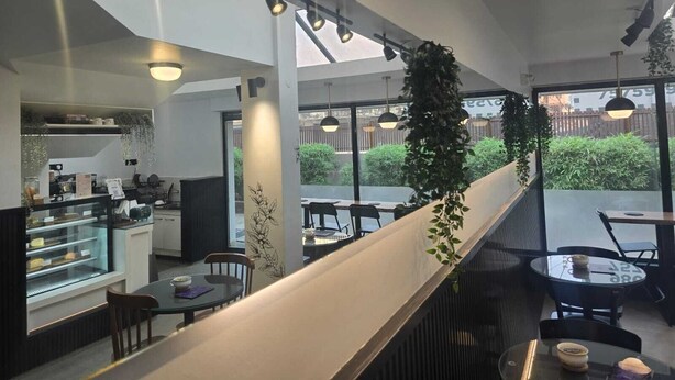 Un ristorante moderno con un lungo bancone, piante pensili e vista all'esterno.