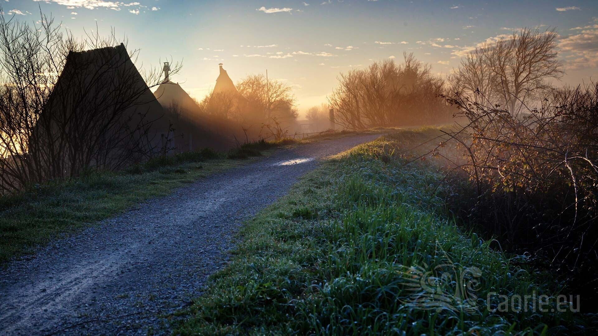 En grusvej der snor sig gennem et landligt område med træer og en klar himmel.