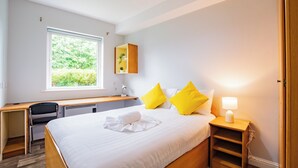 A hotel room with a bed, bedside table, desk, chair, window, and a small shelf with a plant. - Cozy 2-Bedroom Apartment in Galway (Galway)