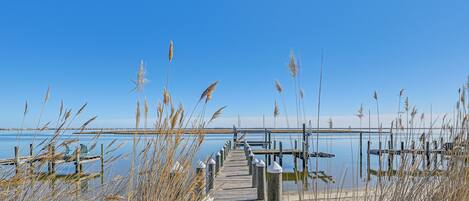 A wooden pier extending into calm water, surrounded by tall grasses.