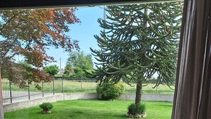 Vista desde una habitación con un amplio ventanal, que da a un espacio verde con un árbol y una valla.