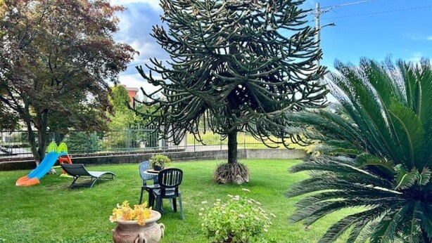 Un patio con una mesa de piedra, dos plantas en macetas, un árbol grande y un parque infantil al fondo.