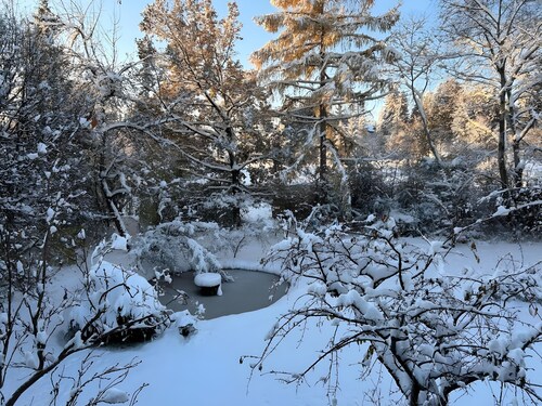 Apartment “Garden View” with Balcony and Wi-Fi