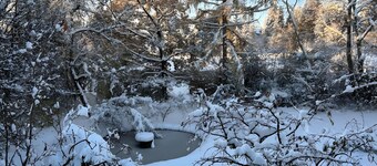 Apartment “Garden View” with Balcony and Wi-Fi
