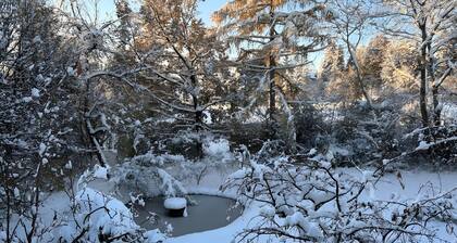 Apartment “Garden View” with Balcony and Wi-Fi
