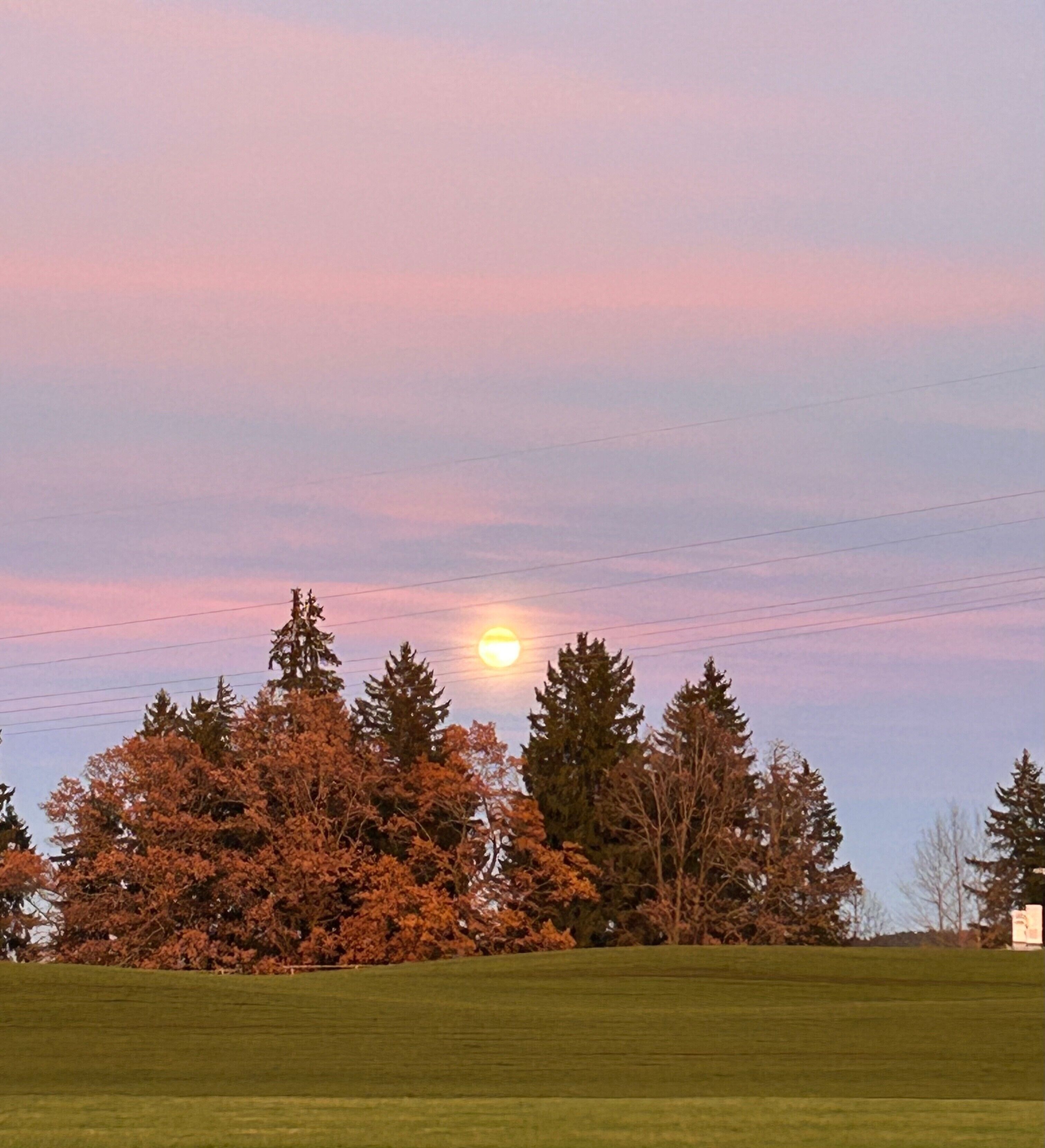 Un coucher de soleil sur un champ herbeux, avec des arbres et des lignes électriques.