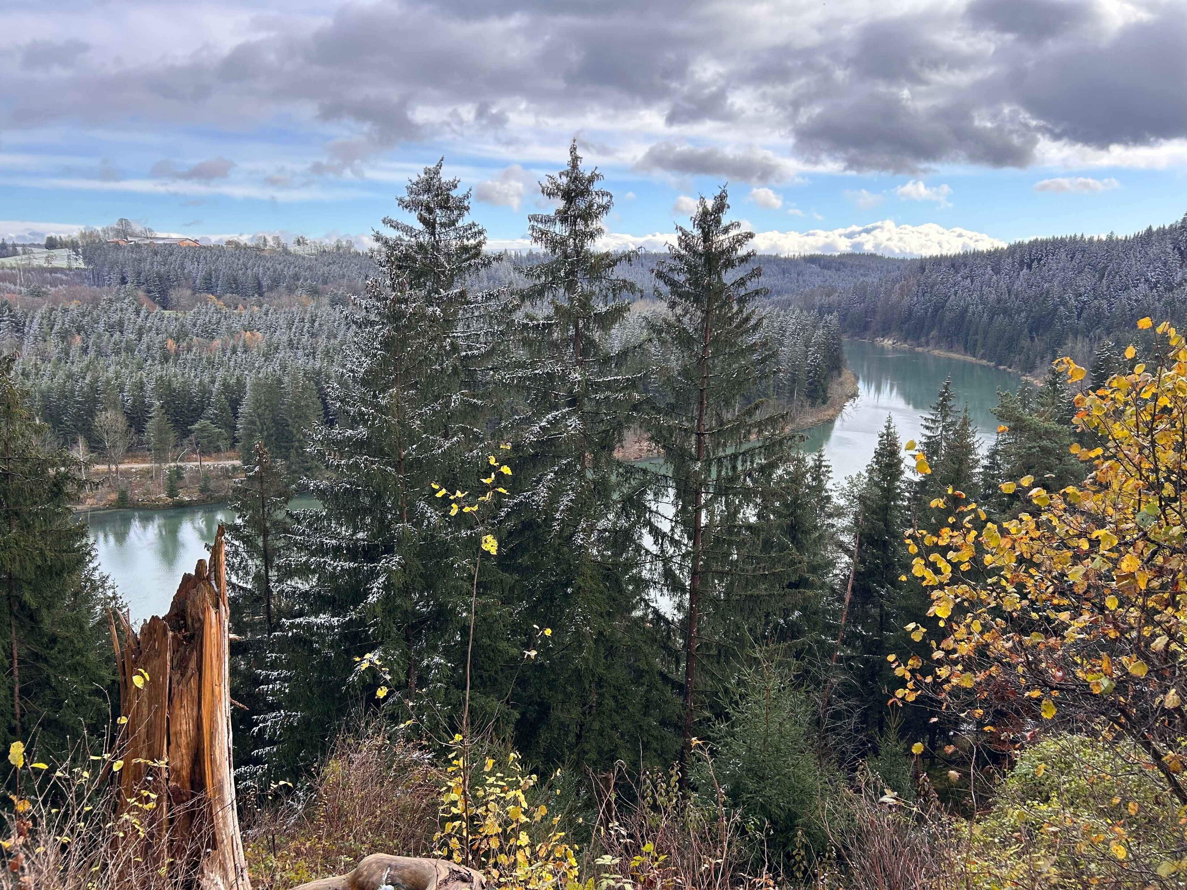 Un paysage boisé avec un lac, de grands arbres et une montagne en arrière-plan.