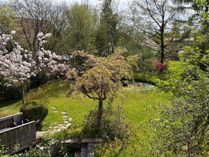 A garden with a wooden bench, a pond, and various trees.