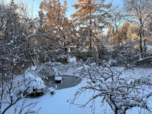 Quiet Studio with Balcony Overlooking Nature – Apartment Gardenview