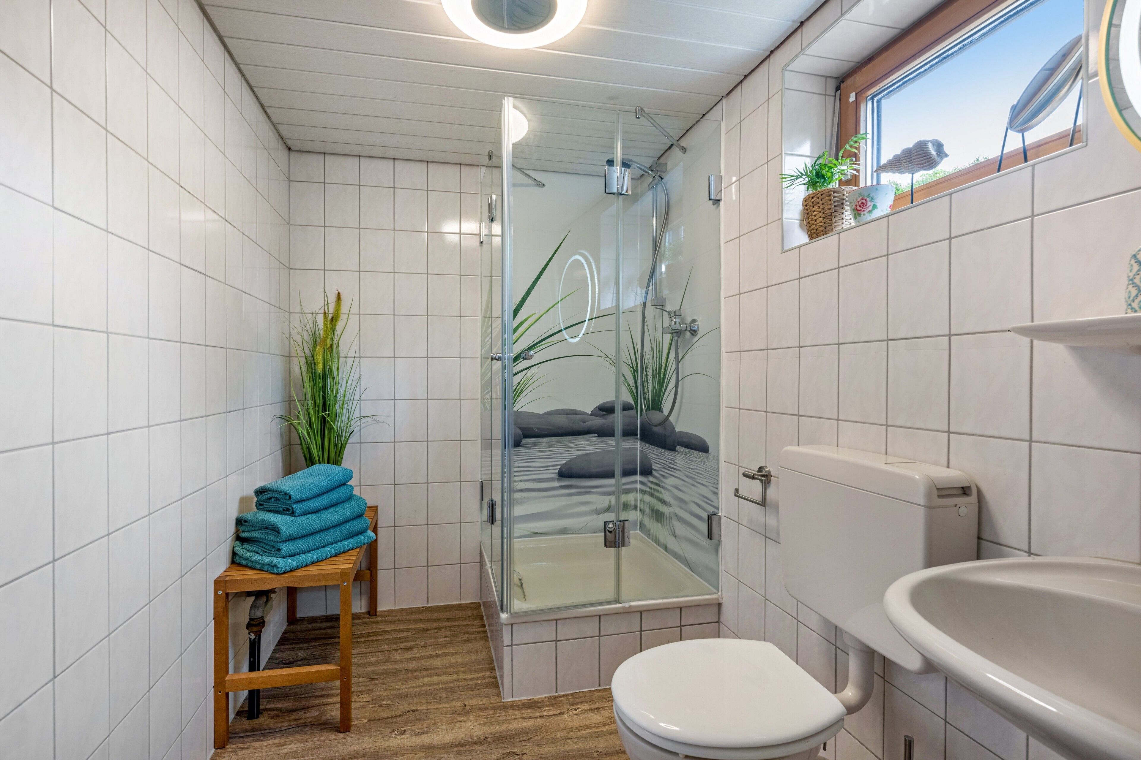 Shower, hair dryer, towels