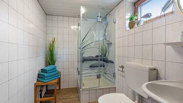 Shower, hair dryer, towels