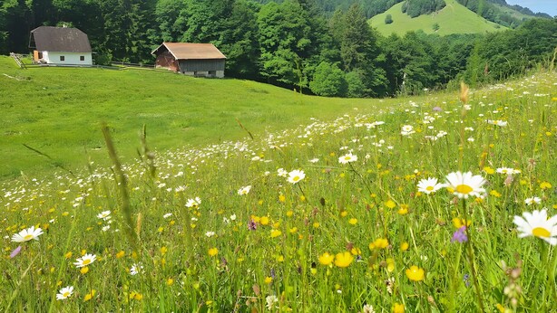Un paysage rural avec une grange, des champs ouverts et une chaîne de montagnes en arrière-plan.