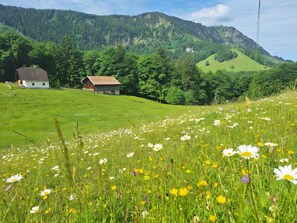 Un paysage rural avec une grange, des champs ouverts et une chaîne de montagnes en arrière-plan.