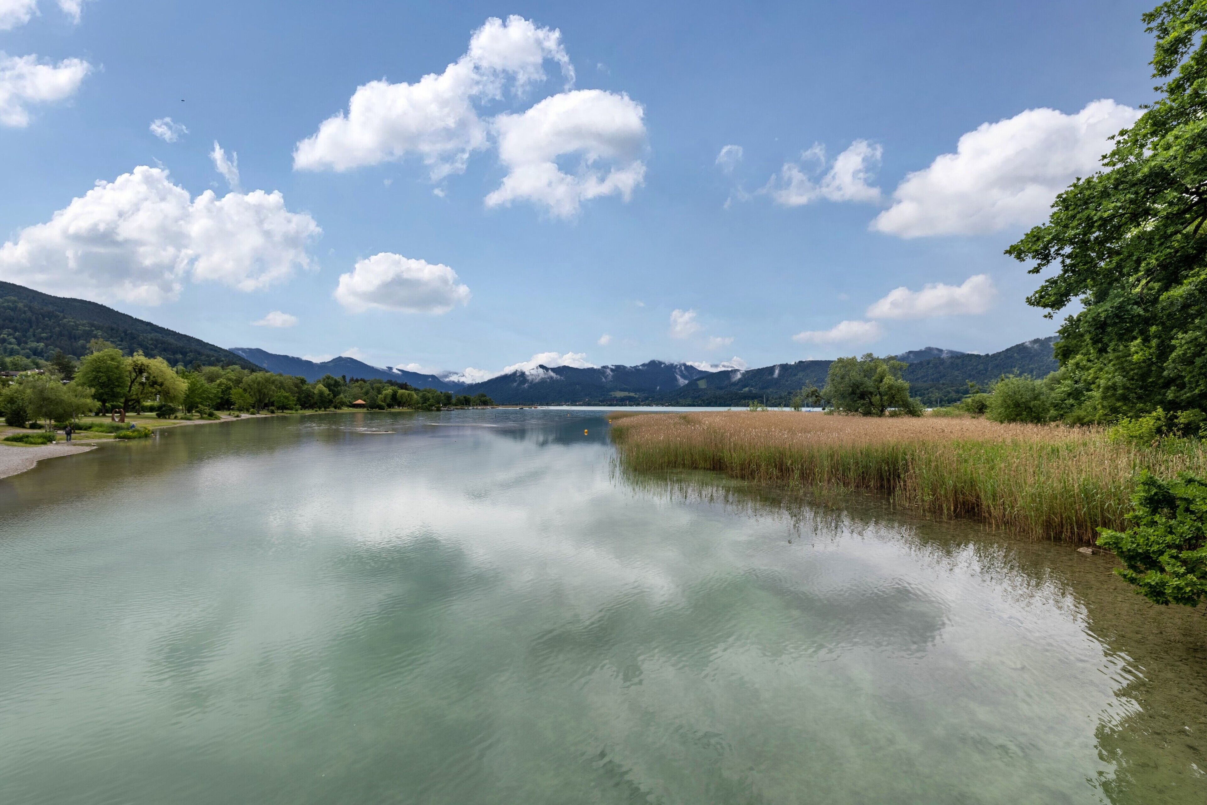 Ein Fluss mit klarem Wasser, umgeben von viel Grün und Bergen im Hintergrund.