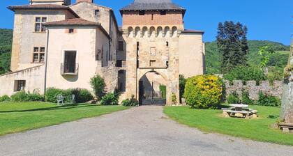 Gite de Charme 4* Château de la Hille with swimming pool