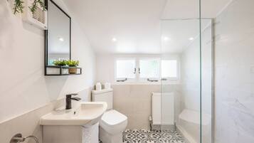 Hair dryer, towels, shampoo, toilet paper