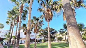 A row of palm trees in a well-maintained grassy area with a clear blue sky. - Puerto Rey - Near the beach with private garden (Vera playa)
