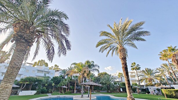 A swimming pool surrounded by palm trees and a thatched-roof gazebo, with buildings in the background. - Puerto Rey - Near the beach with private garden (Vera playa)