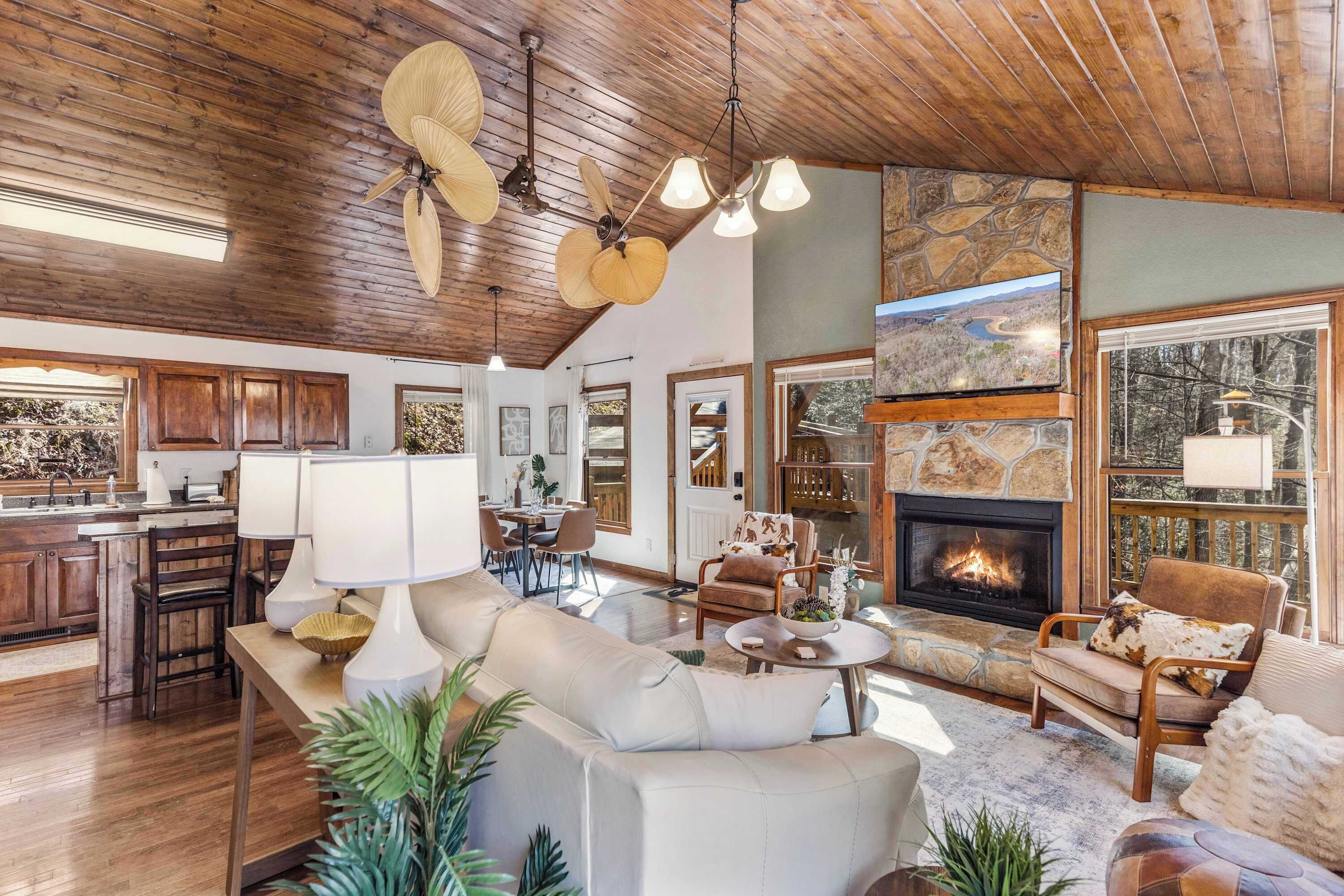 TV, fireplace