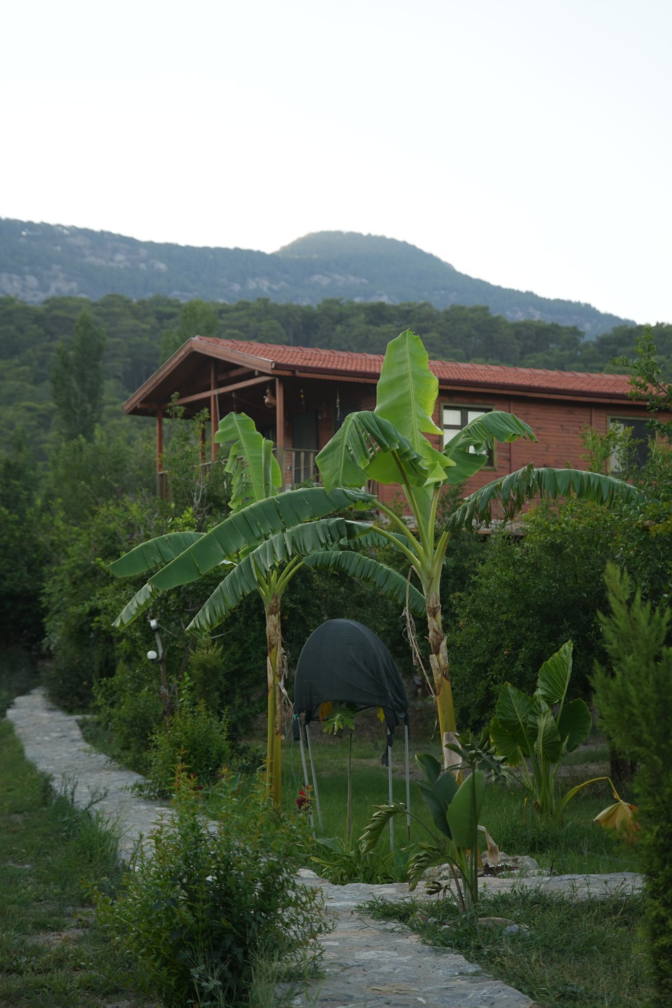 Kondominium Comfort, pemandangan danau | Eksterior