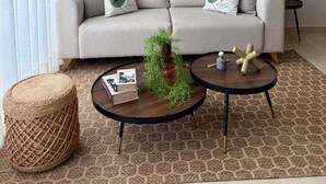 A living room with a sofa, two side tables, a coffee table, and a decorative plant. - Poniente 201 – Tropical Garden Apartment with Pools near Dominicus Beach (Dominicus)