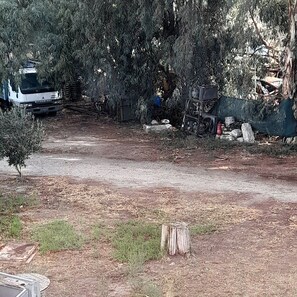 舒适双人房（单人入住）, 花园景观