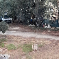 舒适双人房（单人入住）, 花园景观 | 其他