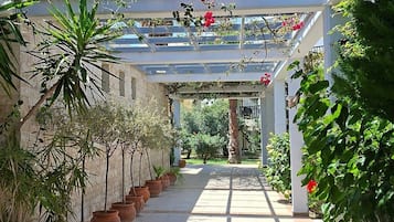 Rom – deluxe, strandutsikt