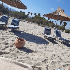 华丽客房, 海滩景观