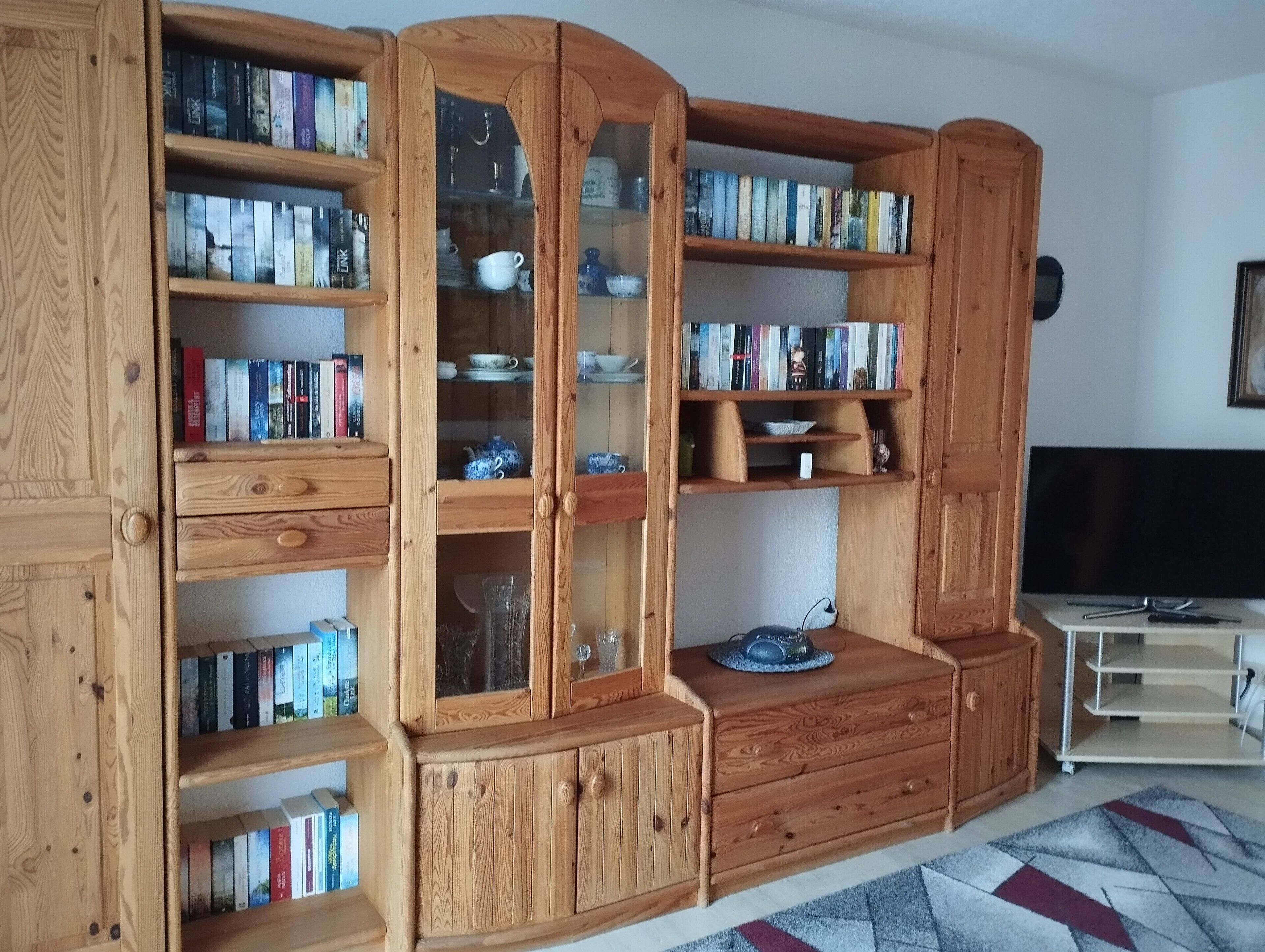 A wooden-built room with built-in bookshelves, a television, and a patterned rug.