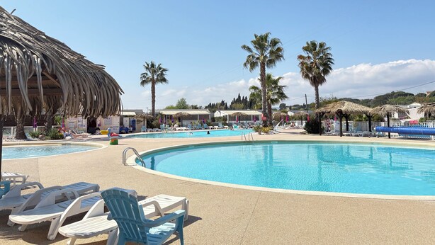 En swimmingpool med liggestole og palmer.