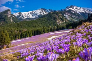 Imagem sem classificação, 4 de 7, botão