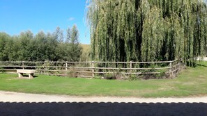 Property grounds - Domaine de la Balmondière (Saint-André-d'Huiriat)