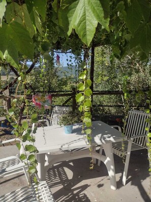 Outdoor dining - Quiet and sunny, surrounded by olive groves for a relaxing holiday in nature! (Lazio)