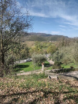 Property grounds - Quiet and sunny, surrounded by olive groves for a relaxing holiday in nature! (Lazio)