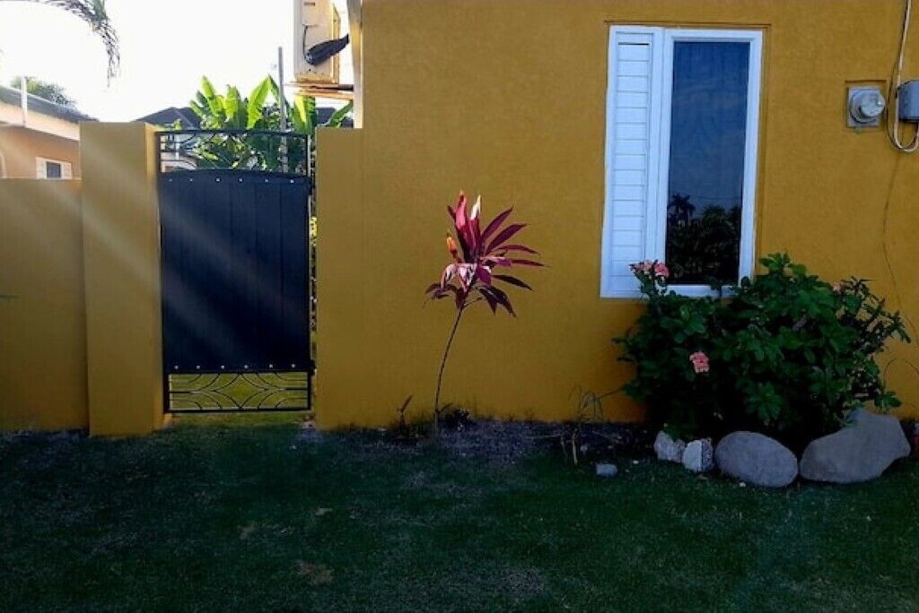 Un edificio amarillo con una verja negra, una ventana con contraventanas blancas y una planta pequeña en primer plano.