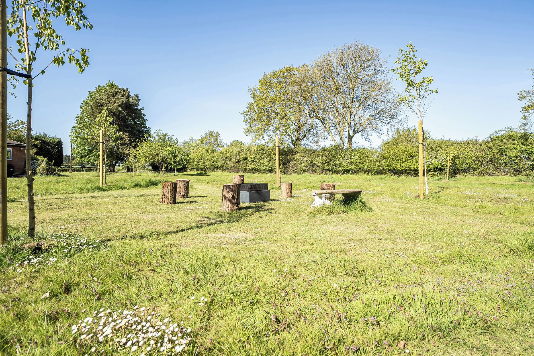 An outdoor area with grass, trees, and wooden structures.