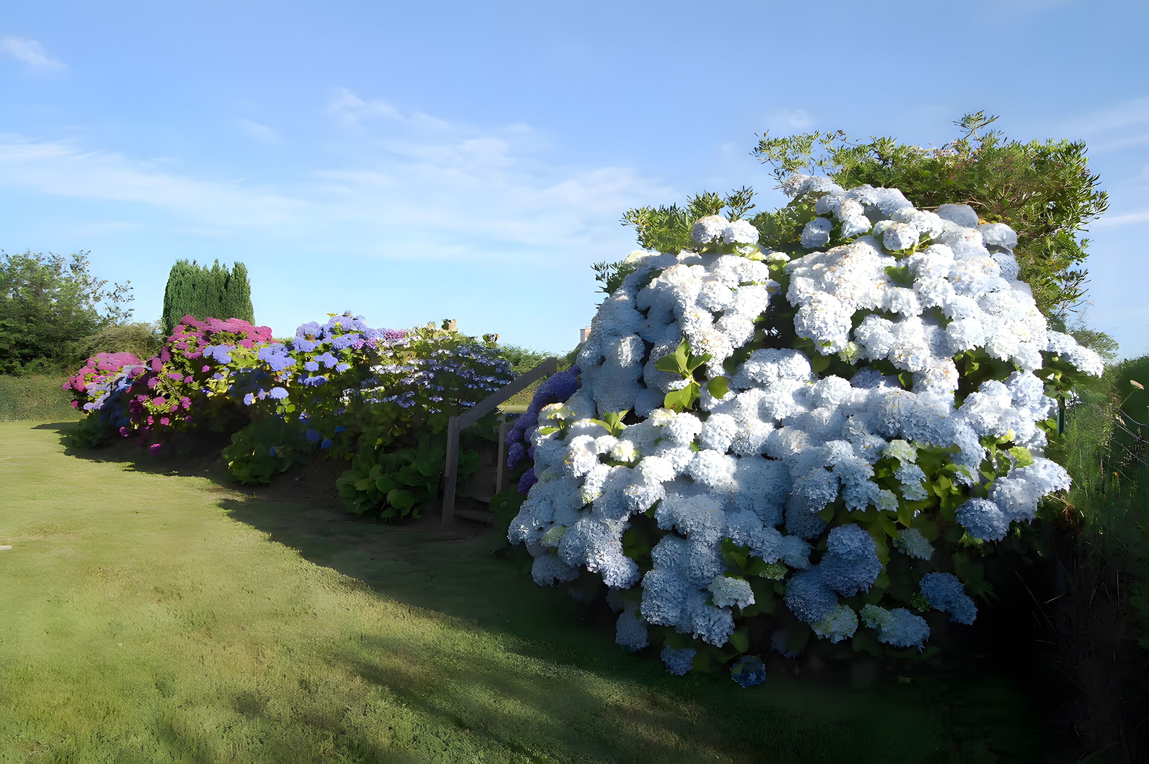 Parco della struttura