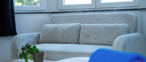 A room with a grey sofa, a small table with a plant, and a window with curtains.