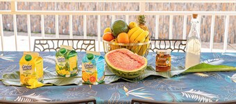 Quiet 3-suite house with 4 bedrooms - Assured water - Between sea and mountains.