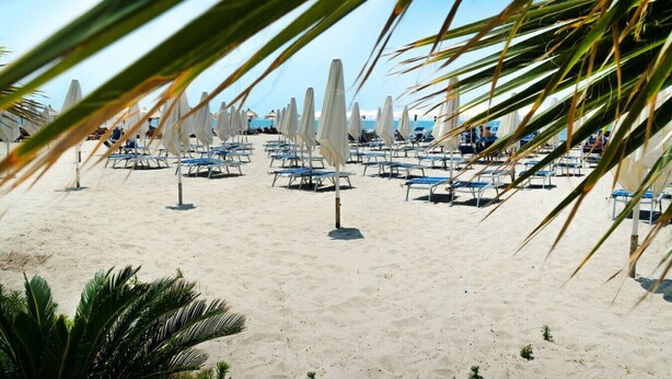 A beach with rows of sun loungers and umbrellas, arranged in a linear fashion. - Apartment RELAX Durres (Durrës)