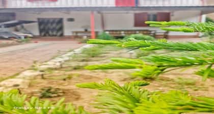 Casa Cu Obloane Rosii By Cochilia