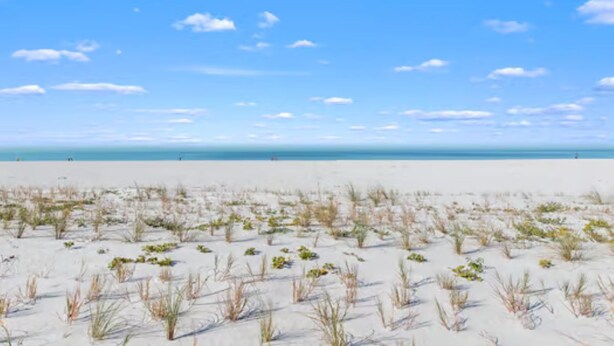 A beach with white sand and sparse vegetation. - Sky High View at EB& Tennis 1002C-NEW LISTING (Fort Myers Beach)