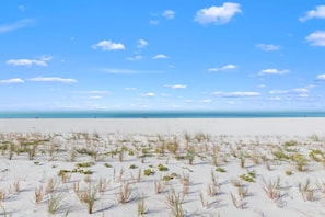 En strand med hvidt sand og sparsom beplantning.