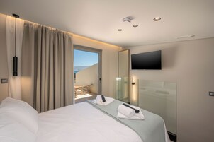 Habitación de hotel con cama, televisor, cabina de ducha de vidrio y vista al exterior.
