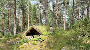 Uklassifisert bilde, 3 av 47, knapp
