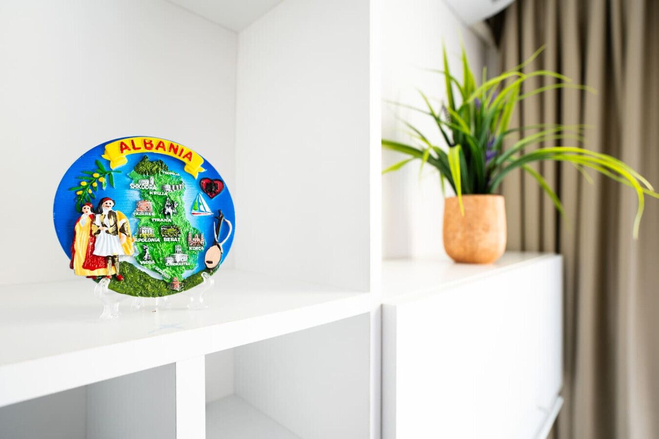 Un plato decorativo con el mapa de Albania y símbolos culturales, sobre una estantería blanca junto a una planta en maceta.